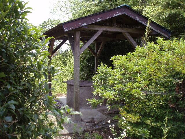 Local land photo