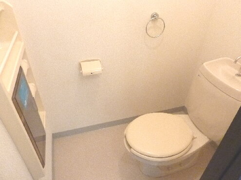 Toilet. With amenities space! 