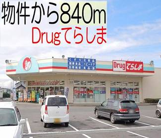 Dorakkusutoa. Drug Terashima 840m until Mito Hirasu store (drugstore)