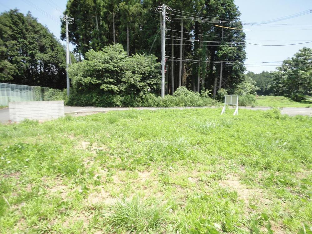 Local land photo