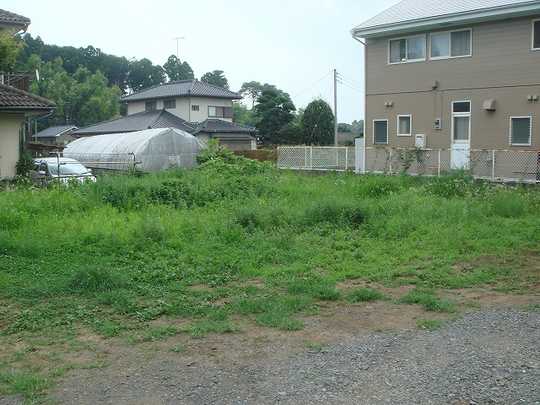 Local land photo