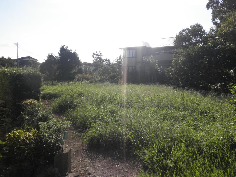 Local land photo. Local (10 May 2012) shooting