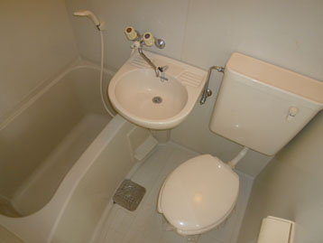 Toilet. Toilet