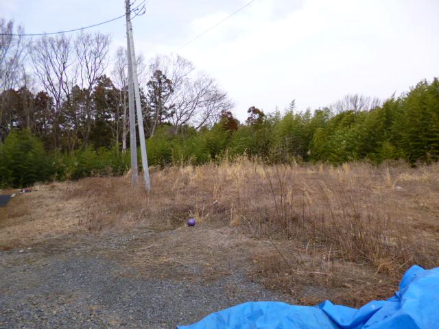 Local land photo
