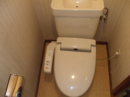 Toilet. With Washlet! 