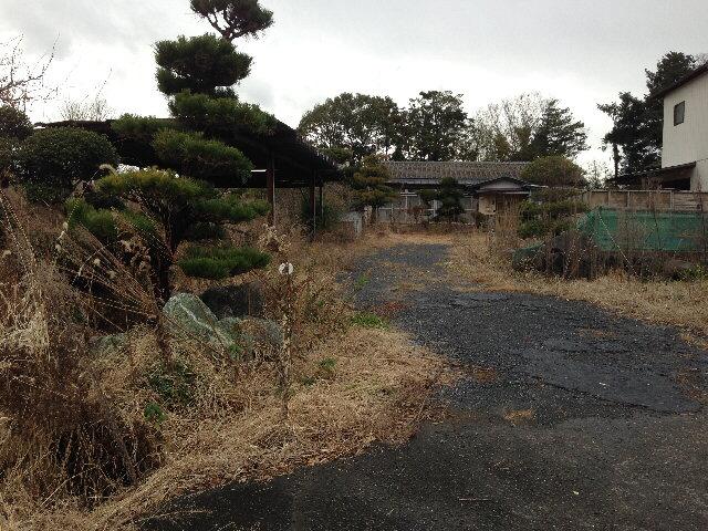 Local land photo