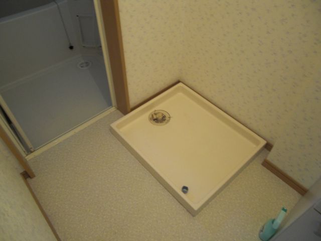 Washroom. Laundry Area