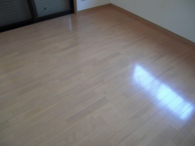Living and room. Western style room