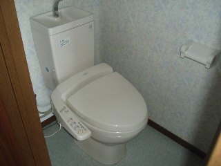 Toilet. Warm Rhett, Toilet is the shower. Comfortable lifestyle! 