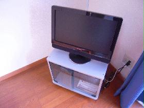 Other. With a flat-screen TV