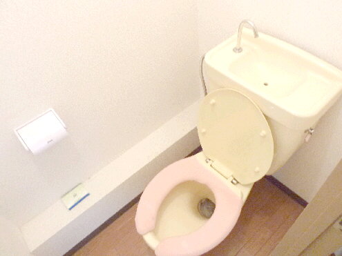 Toilet. You can use widely