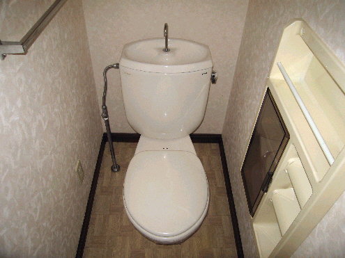 Toilet. Of course, the bath and the toilet is separate