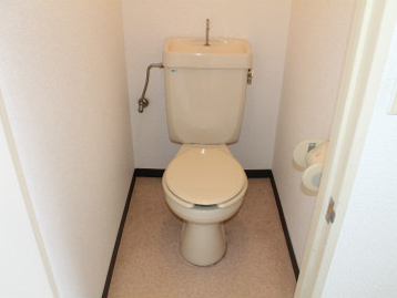 Toilet. This space might settle heart. 