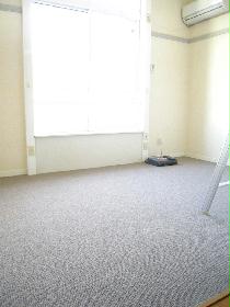 Living and room. Carpet type of room