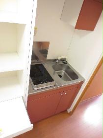 Kitchen. Electric stove with kitchen