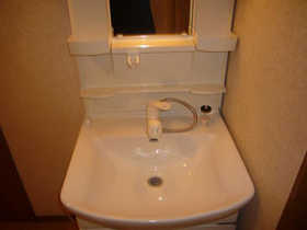 Washroom. Convenient Shampoo dresser