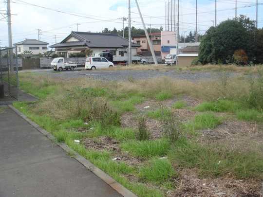 Local land photo
