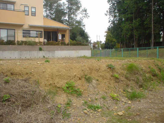 Local land photo