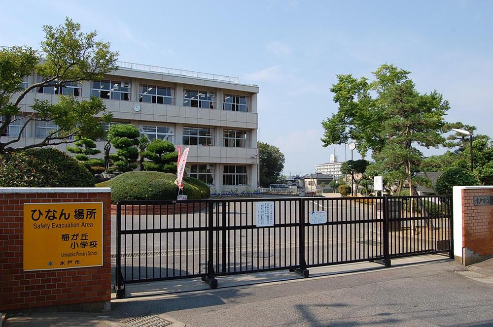 Primary school. Umegaoka until elementary school 927m