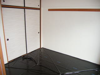 Living and room