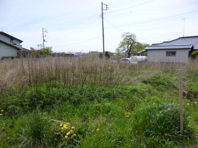Local land photo