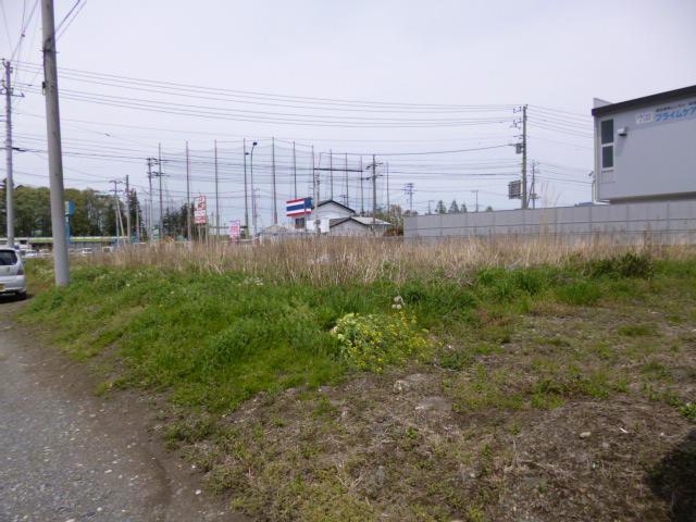 Local land photo