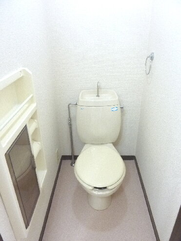 Toilet. You can put even sanitary supplies