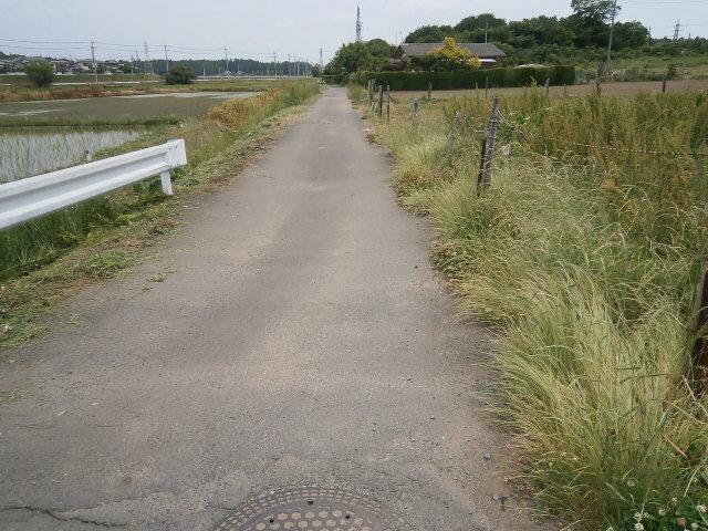 Local photos, including front road