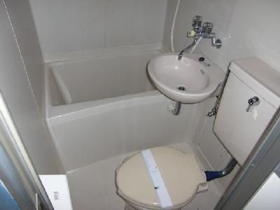 Toilet. Flush toilet