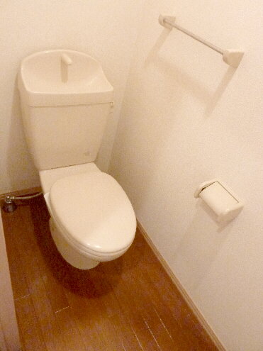 Toilet. Wide toilet