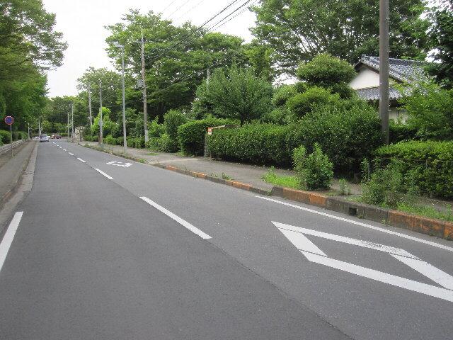 Local photos, including front road