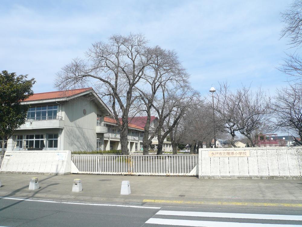 Primary school. HoriGen until elementary school 1390m