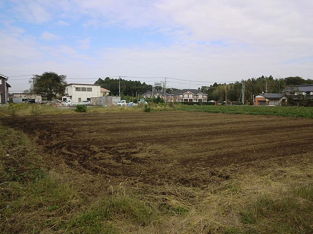 Local land photo