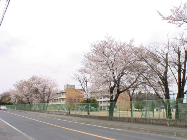 Primary school. 695m until Mito Municipal Kasahara Elementary School (elementary school)