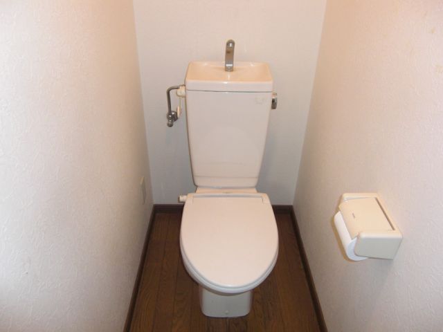 Toilet. Western-style toilet