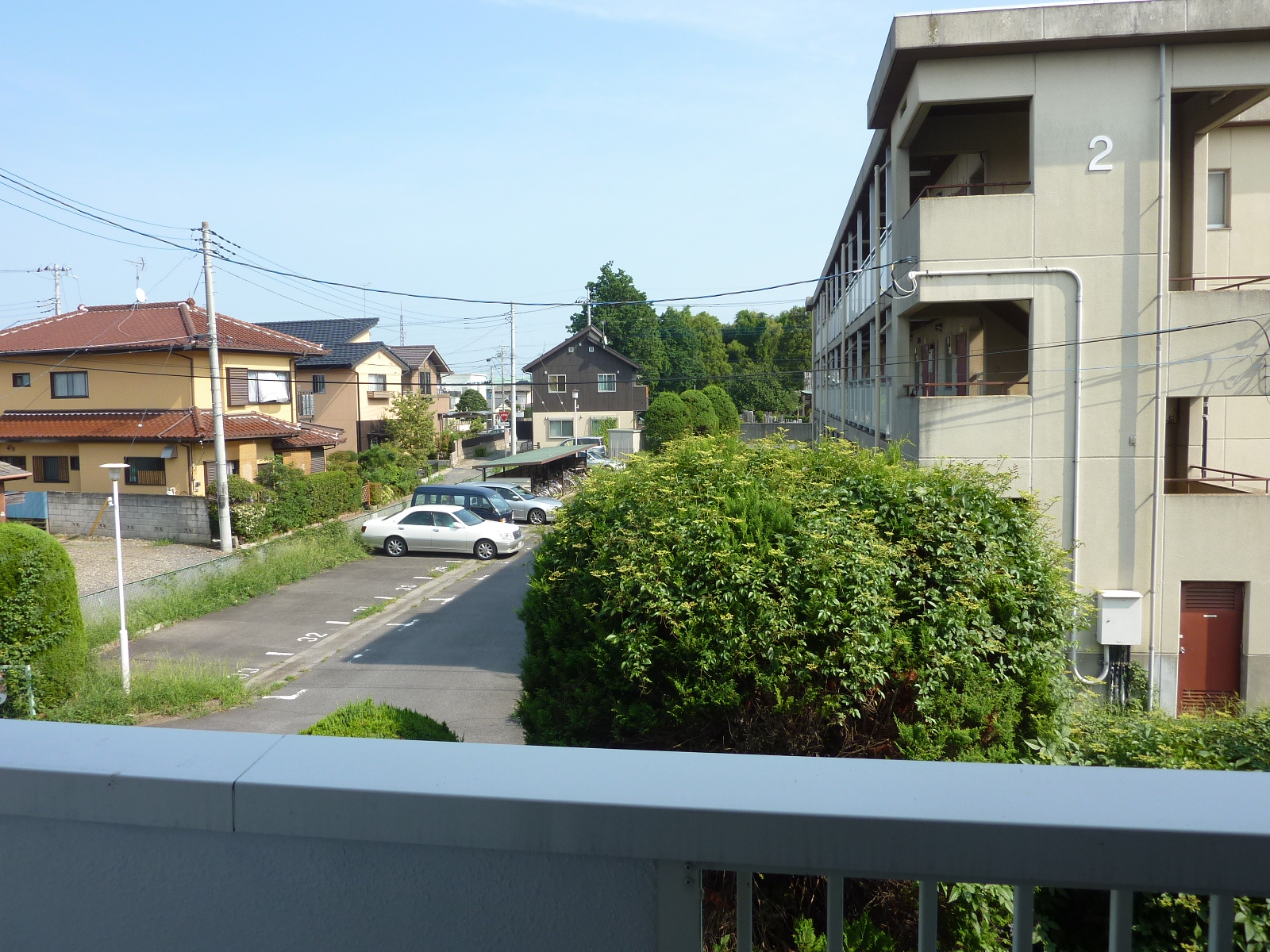 View. Is the view from the room!