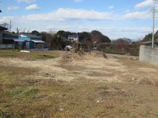 Local land photo