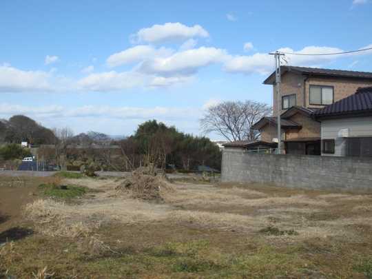 Local land photo