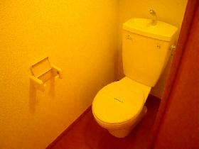 Toilet. Toilet in which the white tones