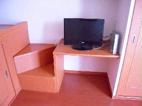 Other. TV