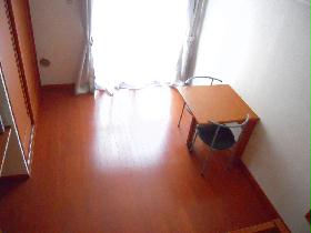 Living and room. Flooring