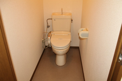 Toilet. Wide and spacious