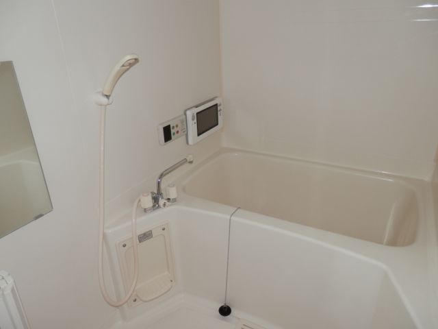 Bath. Bathroom with cleanliness is what attached to bathroom TV