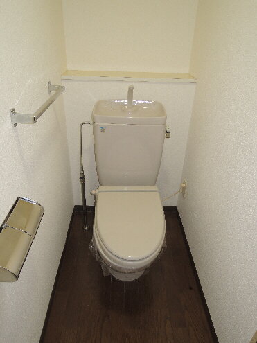 Toilet. Toilets are heating toilet seat specification! 