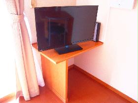 Other. Flat-screen TV