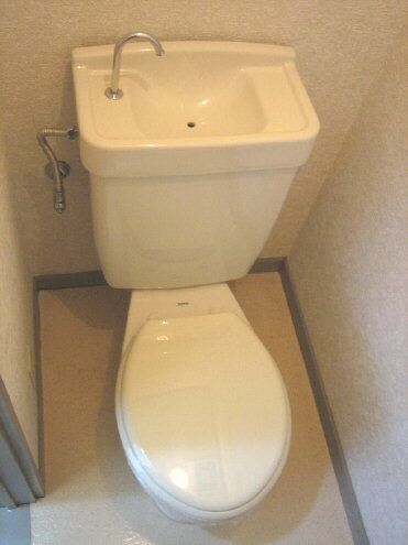 Toilet. Western-style toilet! 