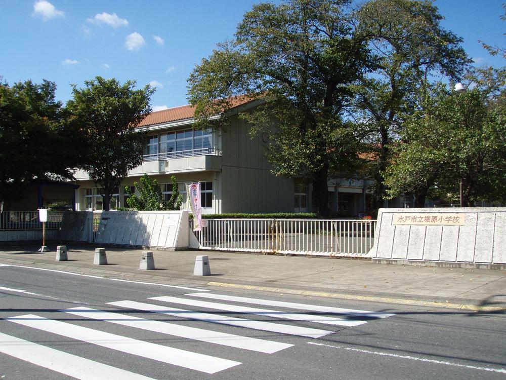 Primary school. HoriGen until elementary school 980m
