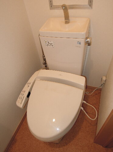 Toilet. It comes with a bidet!