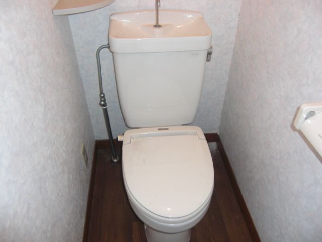 Toilet. Western-style toilet