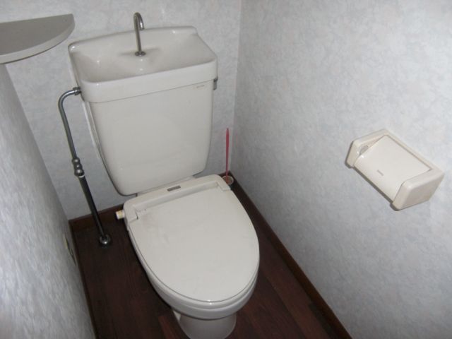 Toilet. Western-style toilet